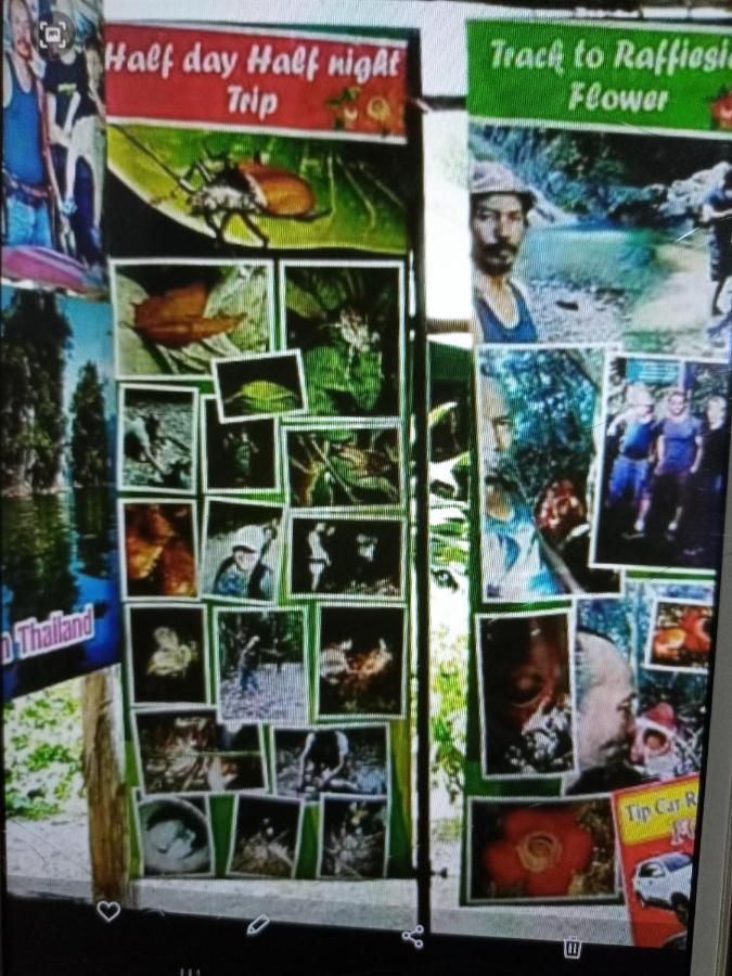 Wassana Camp & Khai Jungle Experience Ban Kraison Exterior photo